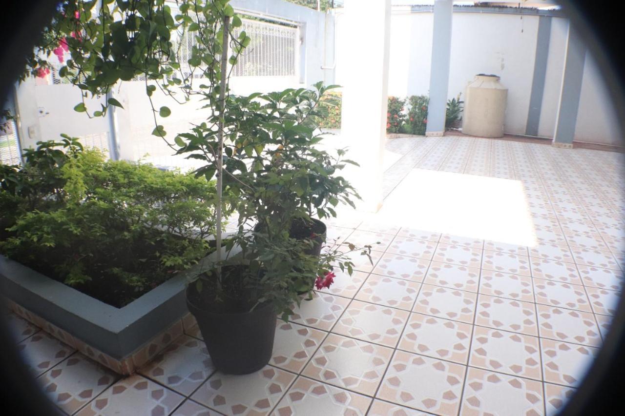 Jardin De La Nonna #1 Bed & Breakfast San Pedro Sula Bagian luar foto